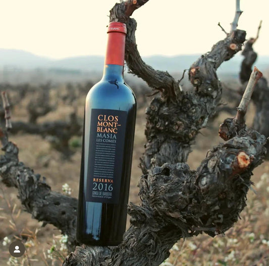 Clos MontBlanc Vino Tinto Masia Les Comes Conca de Barberà 750Ml - Vinosgt