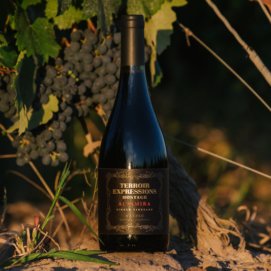 Terroir Expressions Hostage Vino Tinto Altamira Reserva Malbec 750Ml - Vinosgt