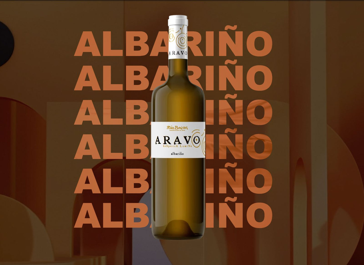 Chan de Vide Aravo Vino Blanco Albariño Rias Baixas - Vinosgt