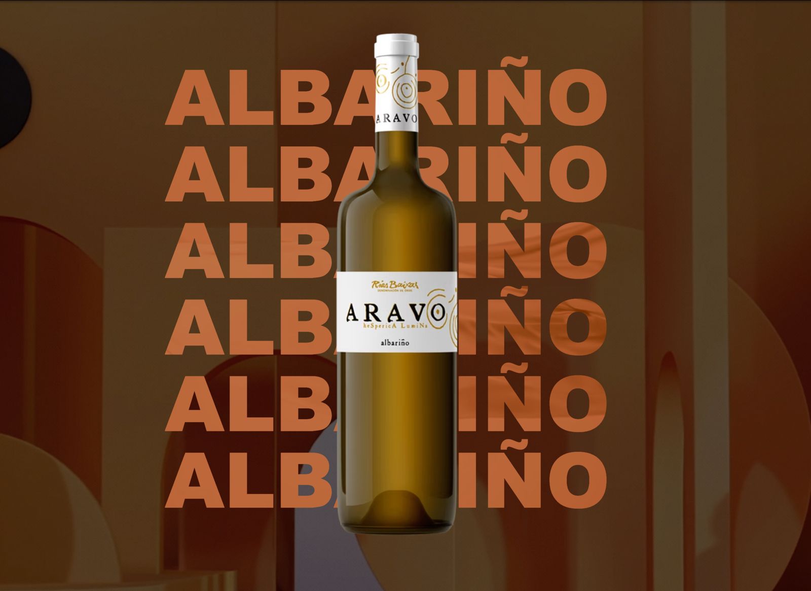 Chan de Vide Aravo Vino Blanco Albariño Rias Baixas - Vinosgt