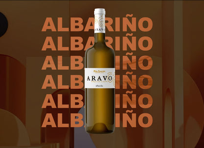 Chan de Vide Aravo Vino Blanco Albariño Rias Baixas - Vinosgt