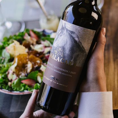 Malacara Vino Tinto Cabernet Sauvignon 750Ml - Vinosgt
