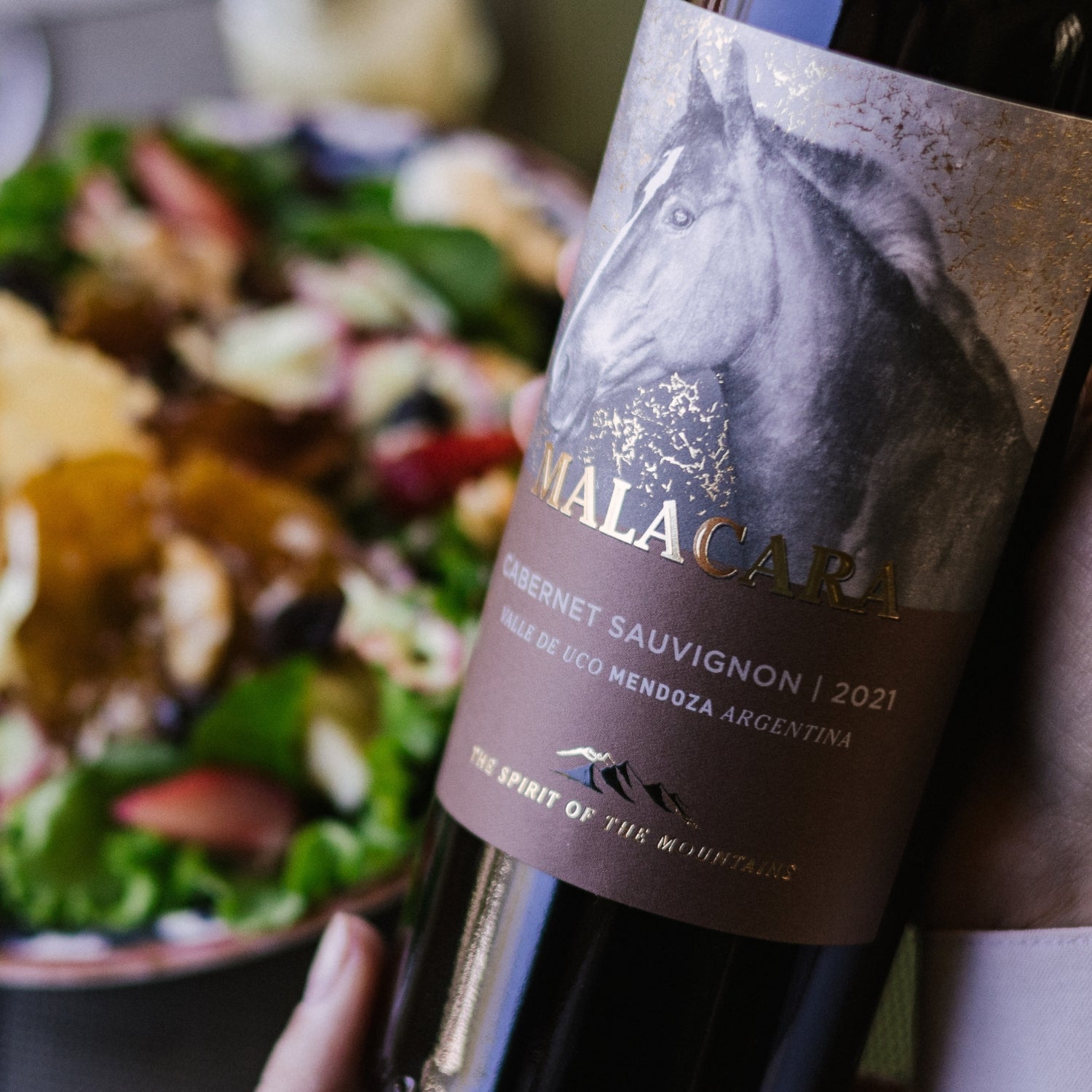 Malacara Vino Tinto Cabernet Sauvignon 750Ml - Vinosgt