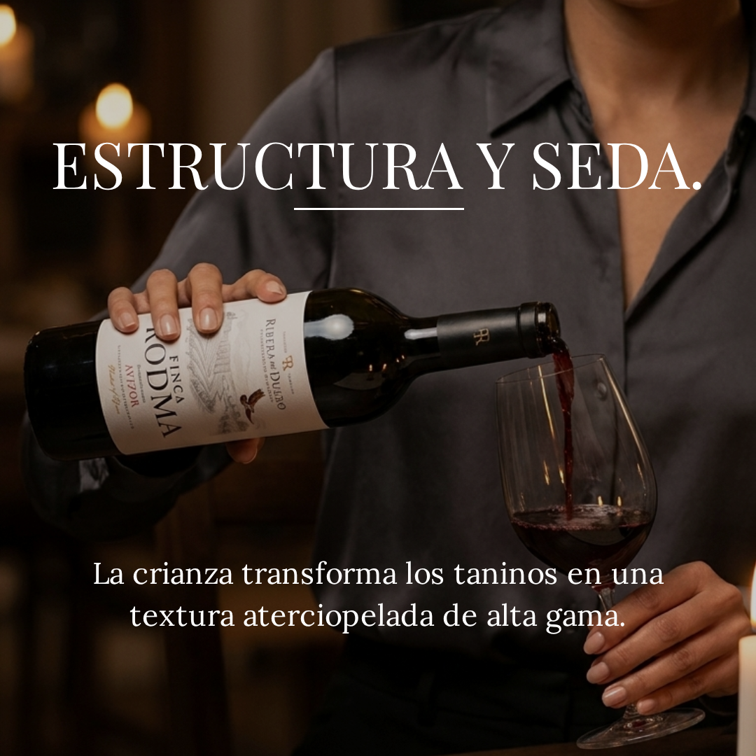 Finca Rodma Avizor Ribera del Duero 750ml - Vinosgt